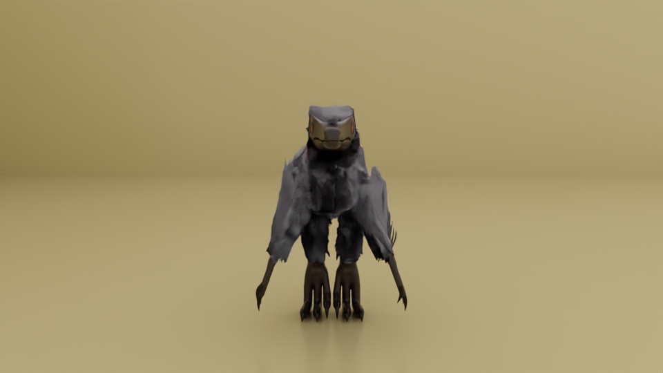 Front view of the raptor feathered.