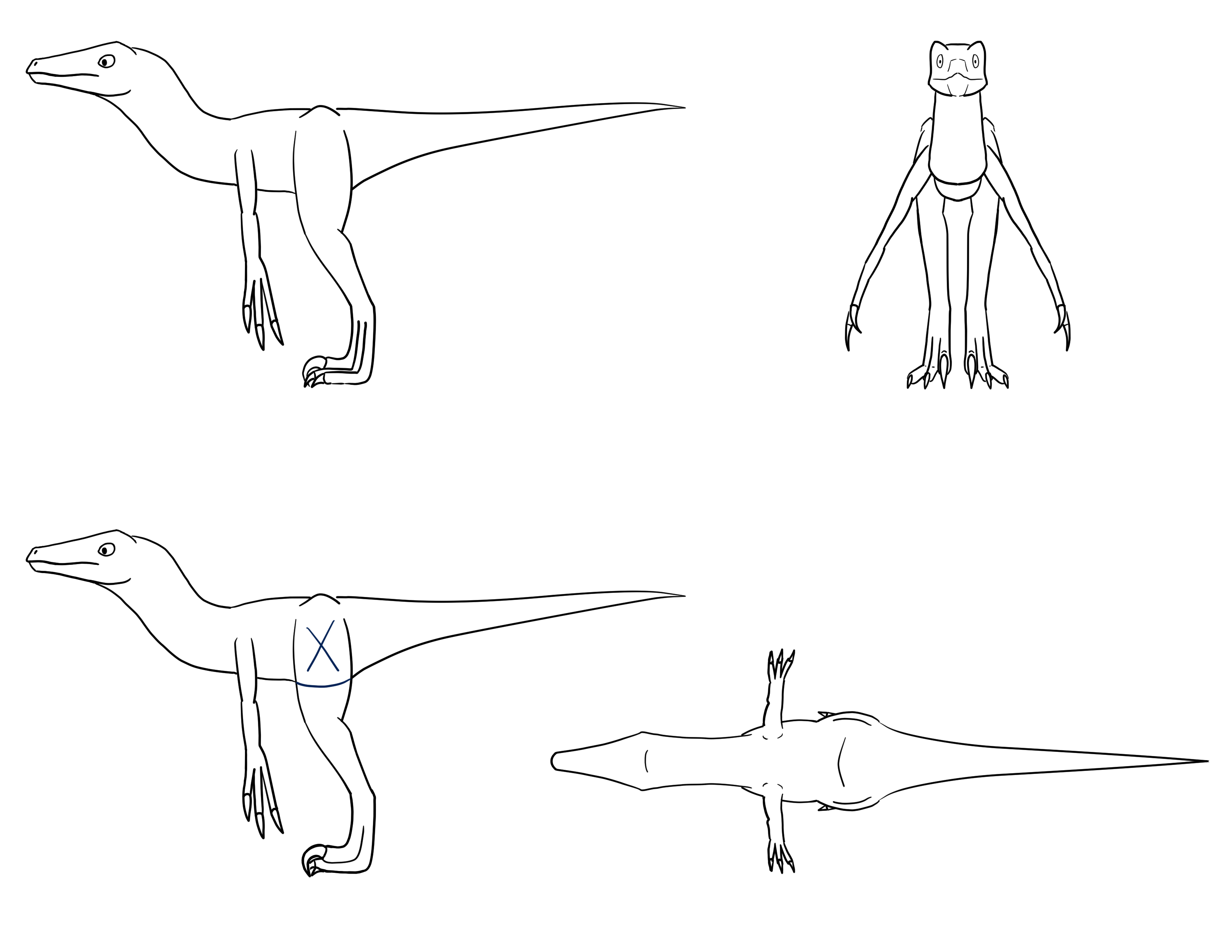 Model sheet for a raptor.
