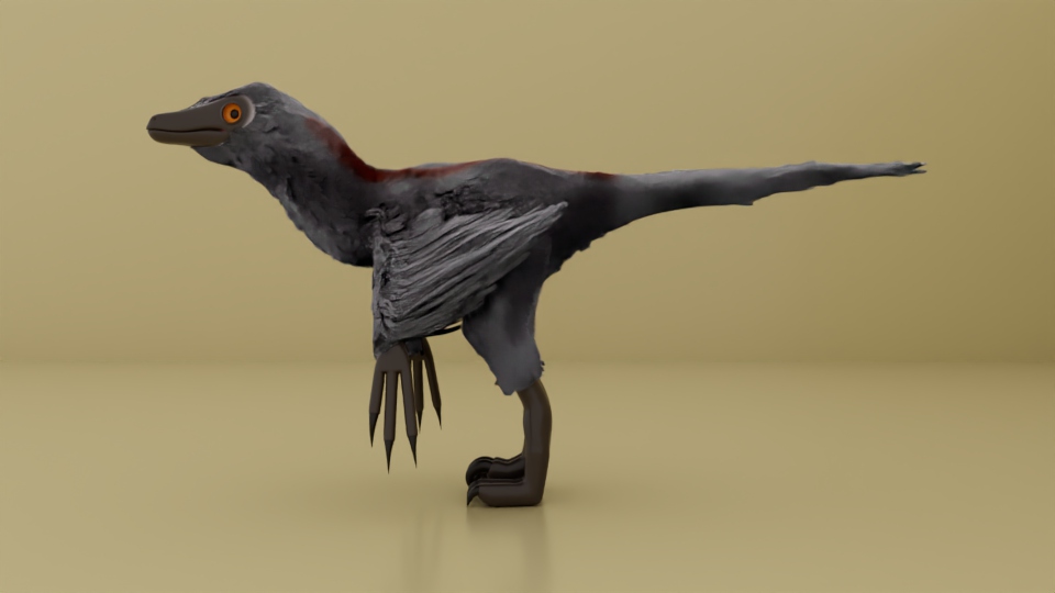 Side view of the raptor feathered.